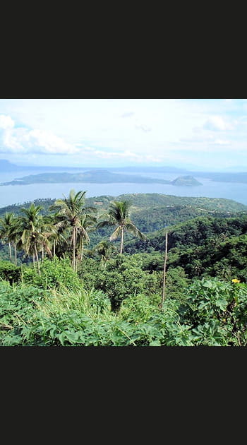 Les for&ecirc;ts c&ocirc;ti&egrave;res d'Afrique orientale