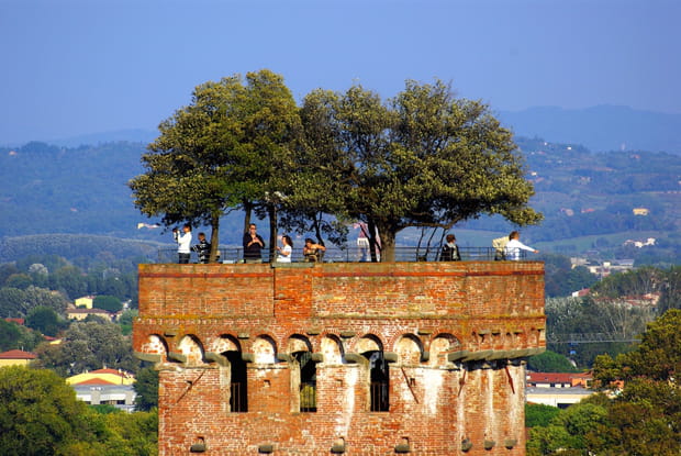 Le jardin suspendu de la Torre Guinigi en Toscane