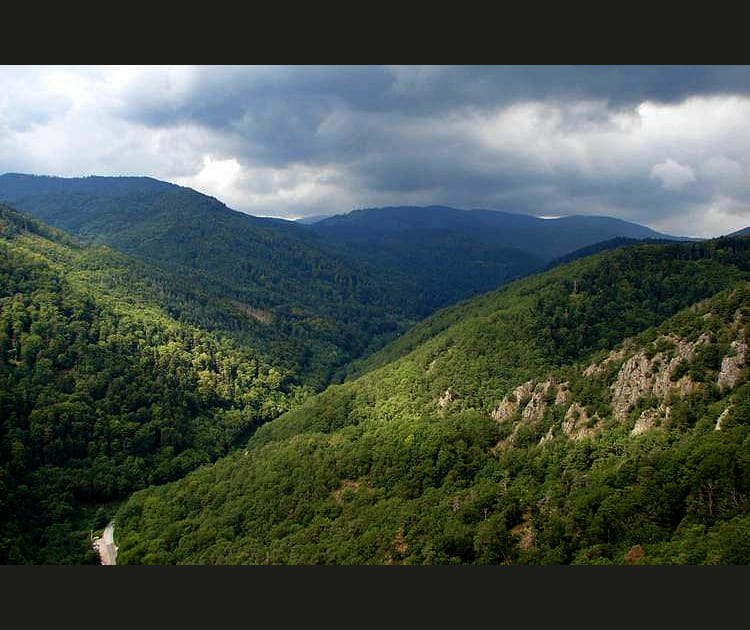 Dans les Vosges, sur la Route des Cr&ecirc;tes