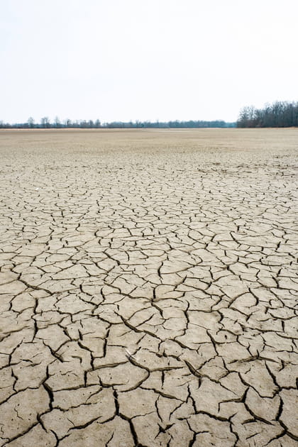 S&eacute;cheresse pr&eacute;coce&nbsp;: pourquoi la France est-elle d&eacute;j&agrave; &agrave; sec&nbsp;? Bient&ocirc;t la catastrophe&nbsp;?