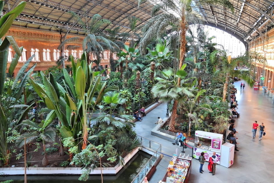 Contempler le jardin tropical de la gare d'Atocha