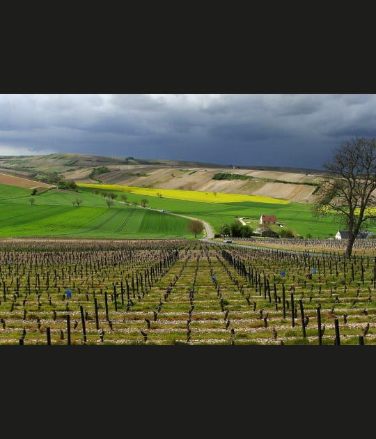 Pays sancerrois