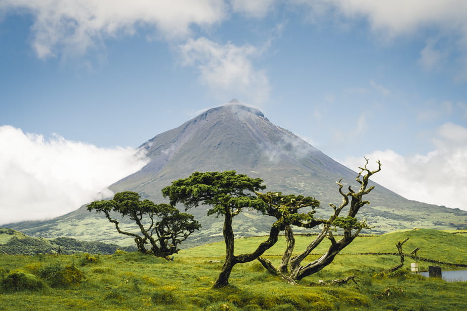 &Icirc;le de Pico, aux A&ccedil;ores