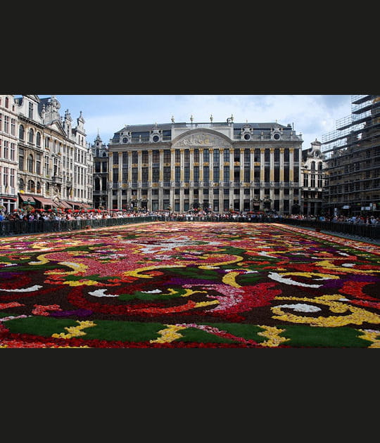 Tapis de fleurs