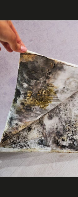 Votre logement devient ind&eacute;cent, mais le bailleur refuse de faire des travaux, quelle solution&nbsp;?