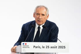Vote de confiance e 49.1&nbsp;: qui va voter pour ou contre Fran&ccedil;ois Bayrou&nbsp;?