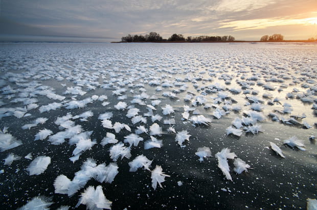 En Arctique, les délicates fleurs de givre