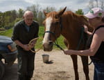 L'incroyable Dr Pol