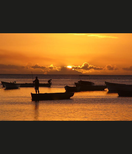 Miel sur Tamarin bay
