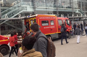 Coups de feu &agrave; la gare Montparnasse&nbsp;: un homme arm&eacute; d'un couteau ma&icirc;tris&eacute; par la police