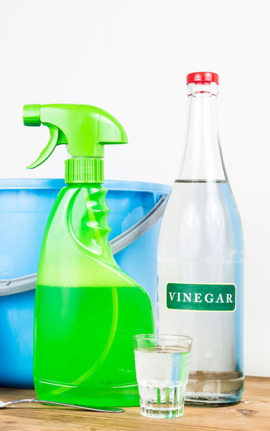 Utiliser le vinaigre blanc comme insecticide naturel