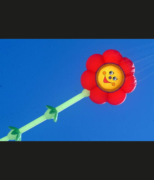 Une fleur volante