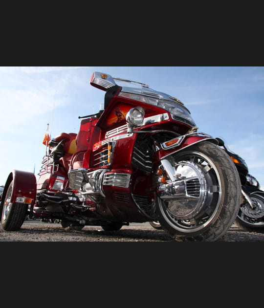 Une belle parmi tant d'autres