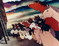 La ferme des animaux