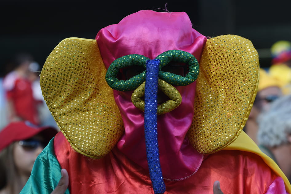 El&eacute;phant colombien