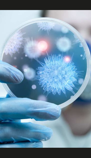 La pratique de la transplantation f&eacute;cale face au Sibo prend de l'ampleur