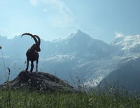 La France sauvage : Les Alpes, les sommets de l'extrême