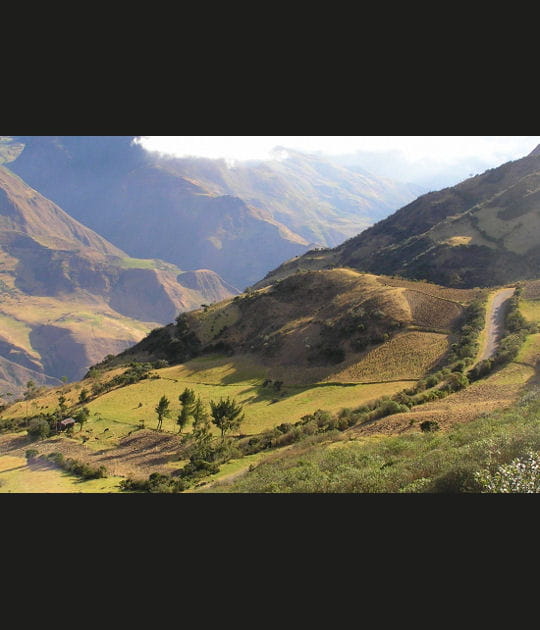 Une vue imprenable sur les Andes