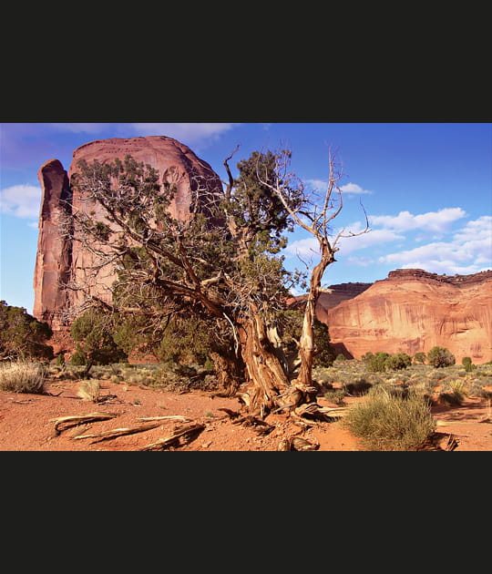 Monument Valley