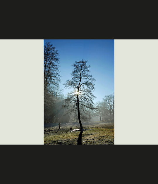 Lumi&egrave;res entre soleil et brouillard
