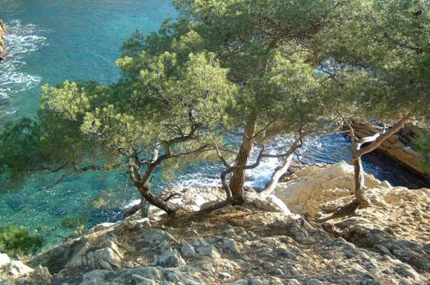 Balade au cap Méjean