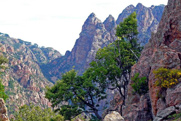 Les gorges de la Spelunca