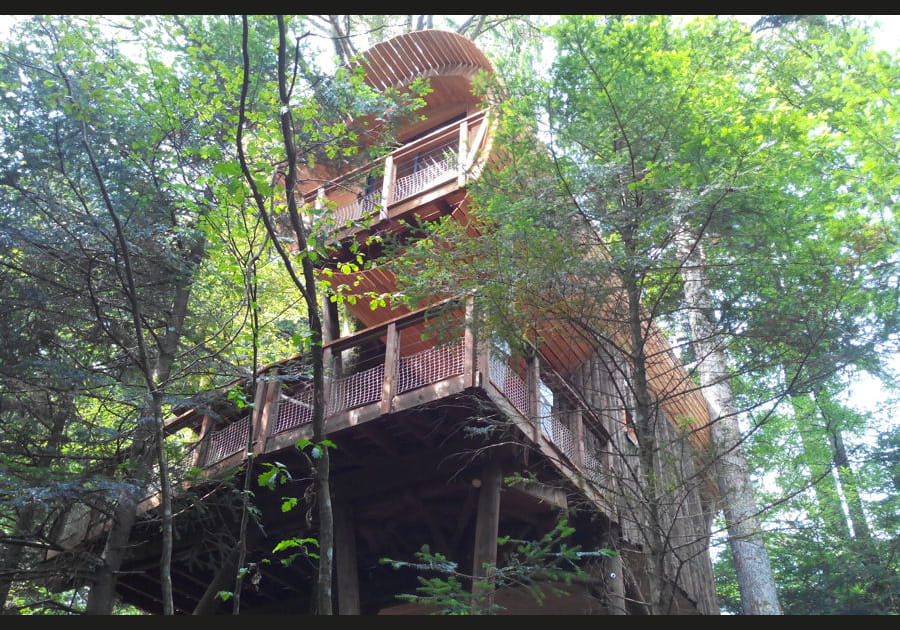 La cabane nid