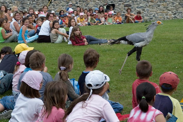 Odyssée de l'espèce