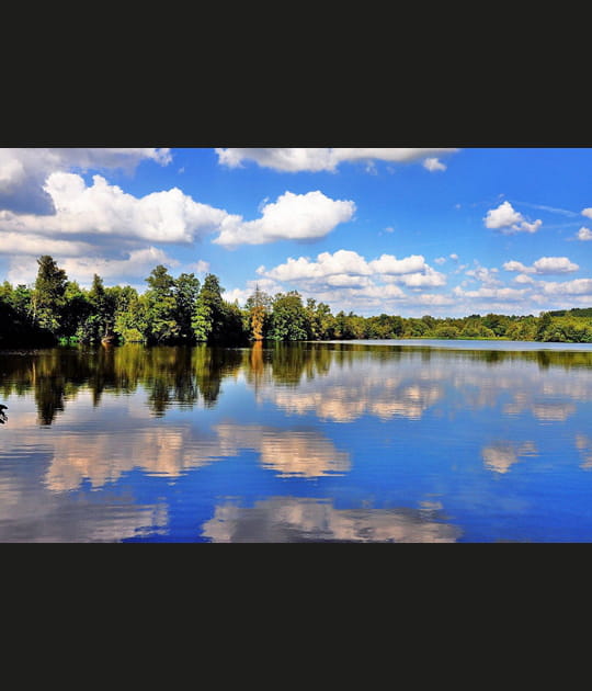 Reflets sur le lac de Vielsalm