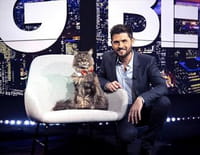 Le big bêtisier : 100% chat
