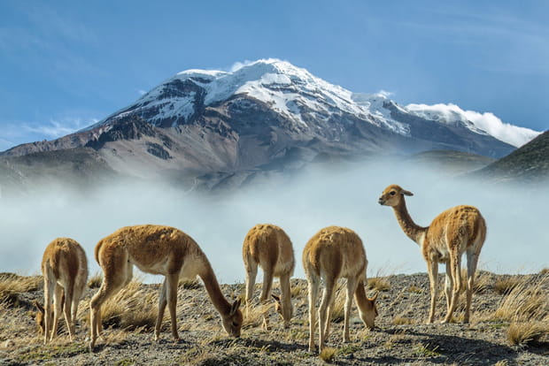 Chimborazo, le point le plus éloigné du centre de la Terre