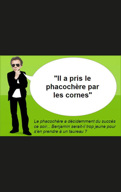 Le retour du phacoch&egrave;re