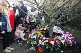 Seine-Saint-Denis&nbsp;: l'arbre en hommage &agrave; Ilan Halimi abattu, une enqu&ecirc;te est ouverte, ce que l'on sait