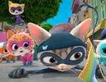 SuperChatons