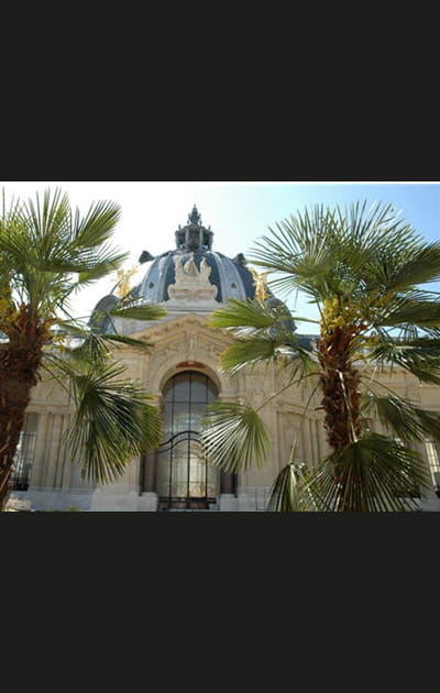 Petit Palais, Mus&eacute;e des Beaux-Arts de la Ville de Paris