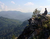 L'homme des bois : Cévennes, forêt des résistances