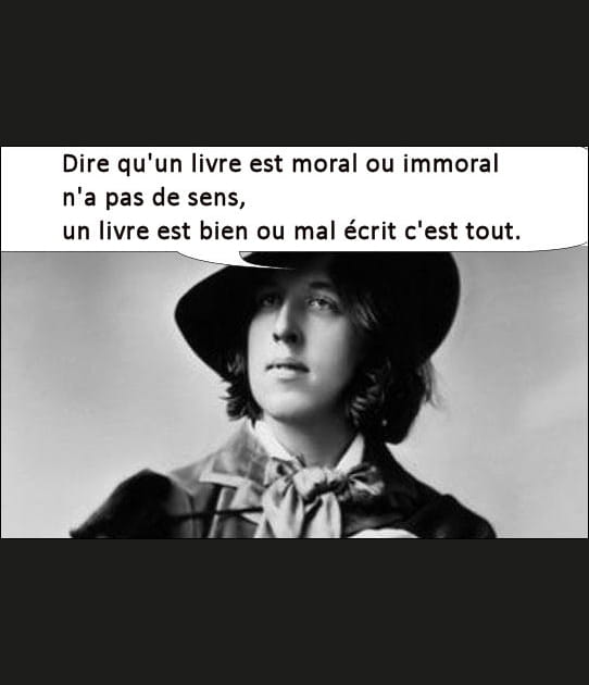 La moralit&eacute; en litt&eacute;rature