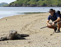 Traqueur de serpents : Les derniers dragons de Komodo