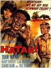 Hatari !