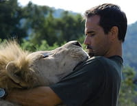 Ma vie avec les lions : La descendance attaque