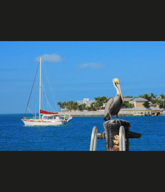 Le plus beau lieu de Floride&nbsp;?