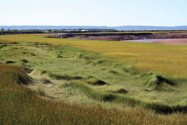 Le paysage de Gran Pré au Canada
