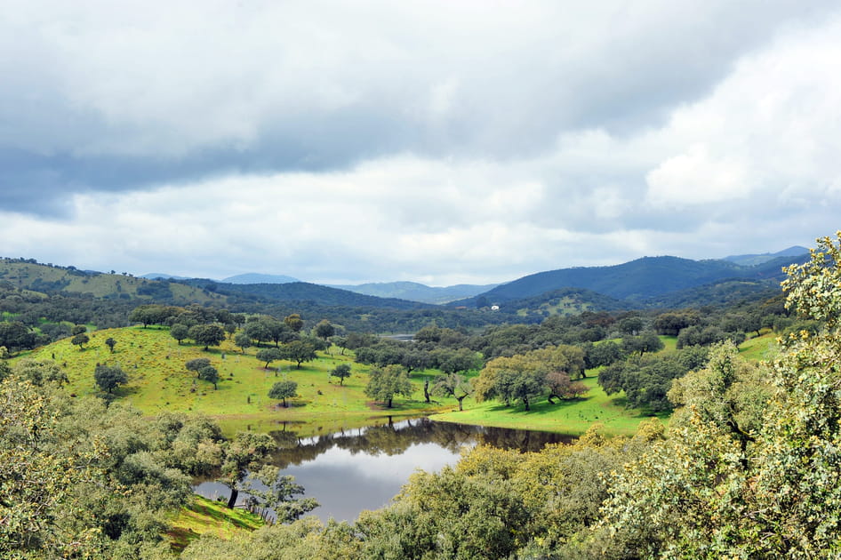 Le Parc naturel de la Sierra de Aracena et des pics d'Aroche, en Espagne