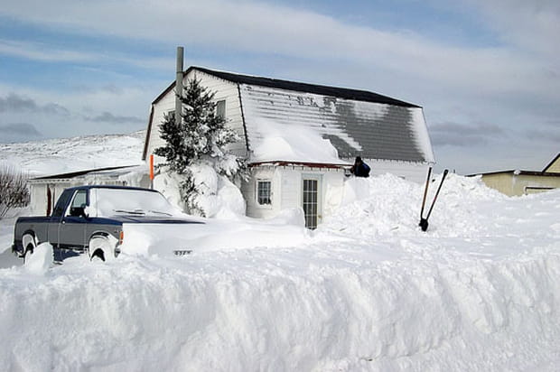 Vivement le printemps