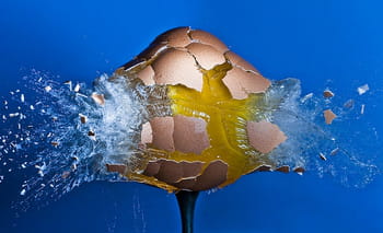 Les photos explosives d'Alan Sailer