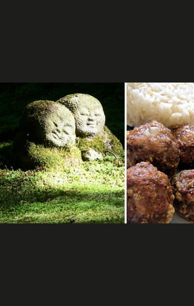Floril&egrave;ge de boulettes