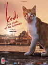 Kedi : des chats et des hommes