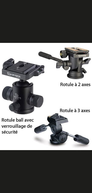 Le type de t&ecirc;te