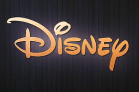 Sorti il y a 24&nbsp;ans, c'est le seul Disney que tout le monde veut voir adapt&eacute; en live action