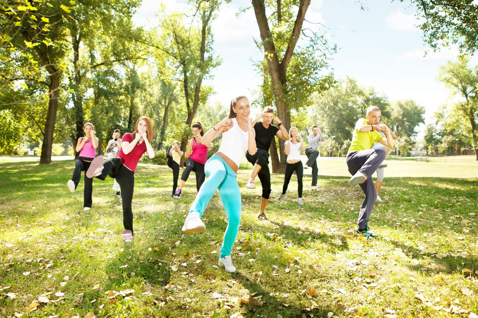 Le Tae Bo, inspir&eacute;e du taekwondo